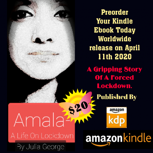 Amala - A Life on Lockdown